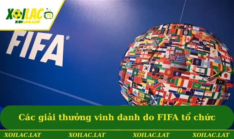 Các giải thưởng vinh danh do FIFA tổ chức