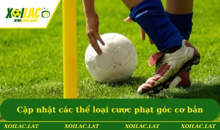 Kèo Phạt Góc - Bật Mí Mẹo Cược Thắng Chắc Từ Các Cao Thủ 2 Cập nhật các thể loại cược phạt góc cơ bản