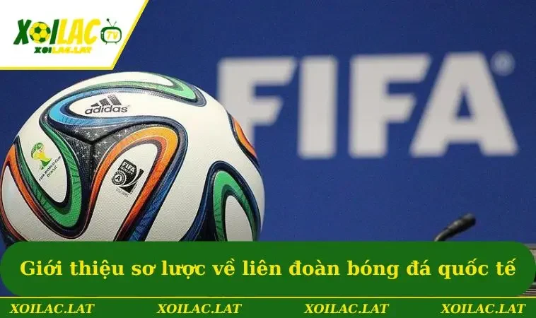 Giới thiệu sơ lược về liên đoàn bóng đá quốc tế