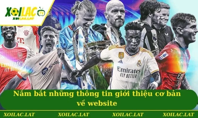 Giới Thiệu 2 Nắm bắt những thông tin giới thiệu cơ bản về website