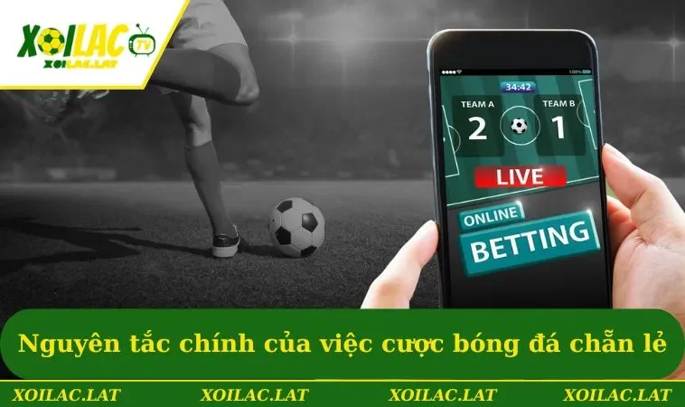 Kèo Chẵn Lẻ - Hướng Dẫn Nhận Định Kết Quả Thi Đấu Chuẩn 2 Nguyên tắc chính của việc cược bóng đá chẵn lẻ