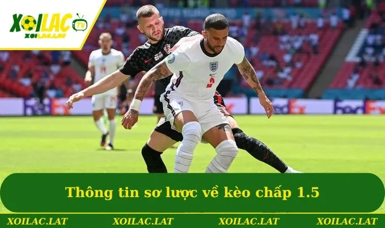 Kèo 1.5 Là Gì? Hướng Dẫn Cá Cược Chuẩn Cùng Các Cao Thủ 1 Thông tin sơ lược về kèo cá độ chấp 1.5