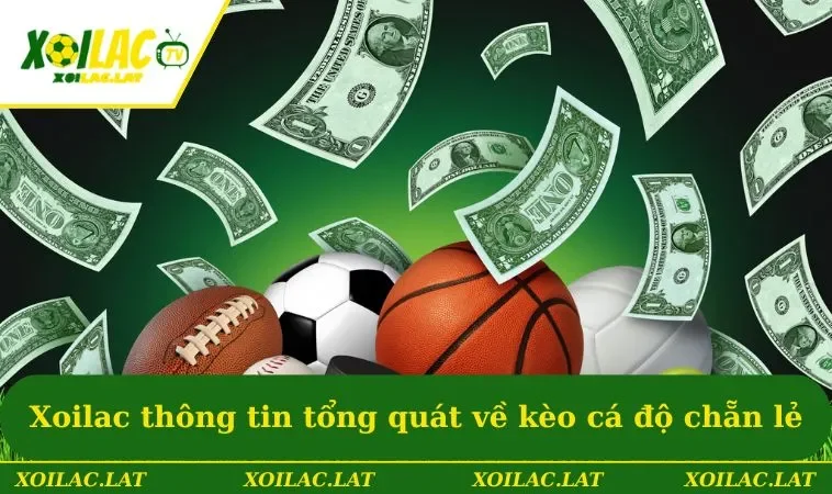 Kèo Chẵn Lẻ - Hướng Dẫn Nhận Định Kết Quả Thi Đấu Chuẩn 1 Xoilac thông tin tổng quát về kèo cá độ chẵn lẻ