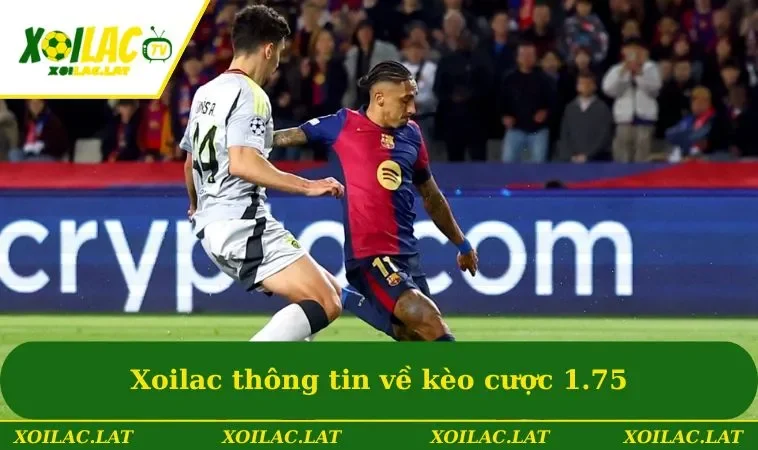 Kèo 1.75 - Lựa Chọn Cá Độ Hàng Đầu Dành Cho Các Game Thủ 1 Xoilac thông tin về kèo cược 1.75